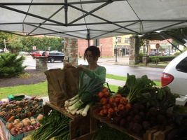 The Living Acres Farm stand at the Alfred Farmer's Market, heaped with an assortment of vegetables. Bundles of beets and turnips and carrots, baskets of potatoes and onions and peppers.