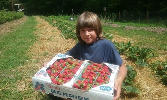 Child posing with a big box full of strawberries.