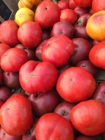 A pile of heirloom tomatoes.